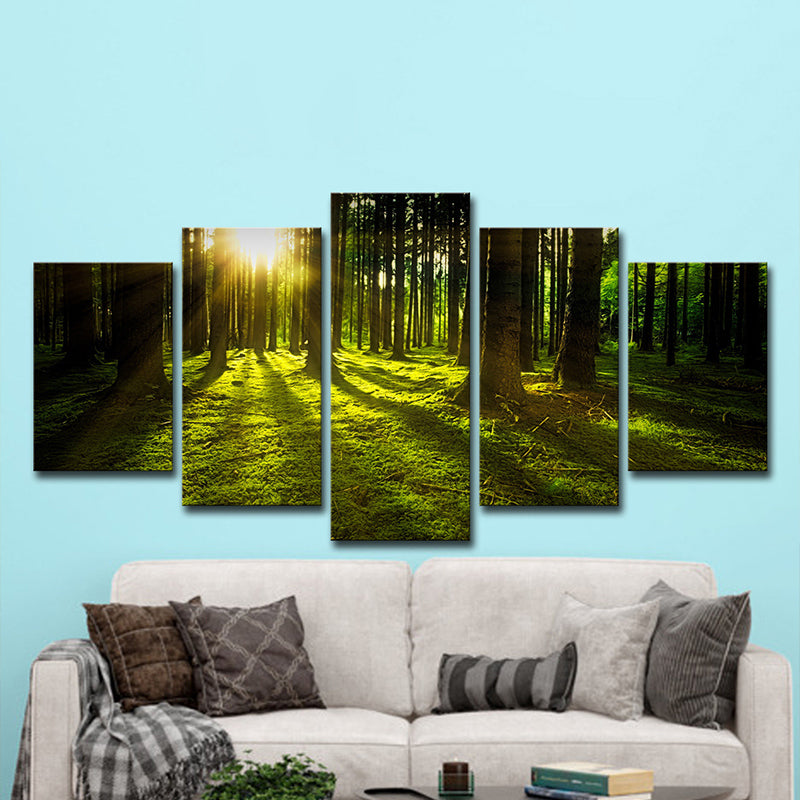 Sunshine Shines Through Forest Canvas Multi-Piece Modern Living Room Wall Art in Green Clearhalo 'Art Gallery' 'Canvas Art' 'Contemporary Art Gallery' 'Modern' Arts' 1600065
