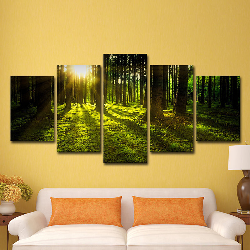 Sunshine Shines Through Forest Canvas Multi-Piece Modern Living Room Wall Art in Green Clearhalo 'Art Gallery' 'Canvas Art' 'Contemporary Art Gallery' 'Modern' Arts' 1600066