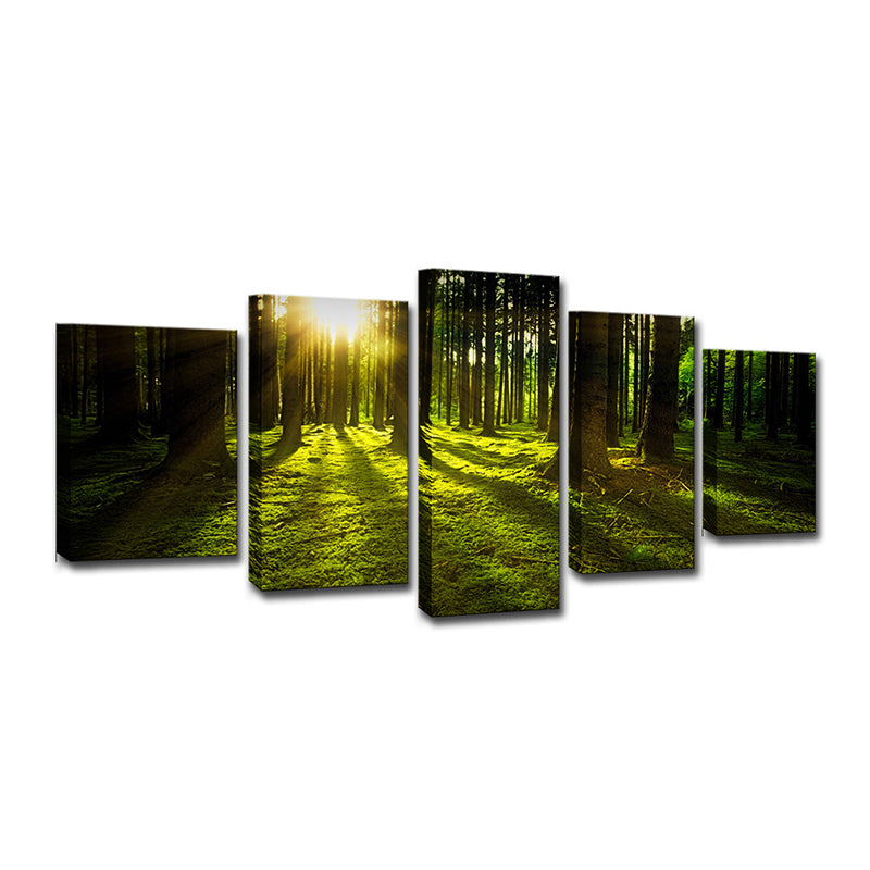 Sunshine Shines Through Forest Canvas Multi-Piece Modern Living Room Wall Art in Green Clearhalo 'Art Gallery' 'Canvas Art' 'Contemporary Art Gallery' 'Modern' Arts' 1600067