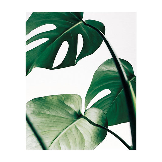 Textured Monstera Leaves Wall Decor Tropical Canvas Wall Art for Living Room Clearhalo 'Art Gallery' 'Canvas Art' 'Contemporary Art Gallery' 'Modern' Arts' 1614486