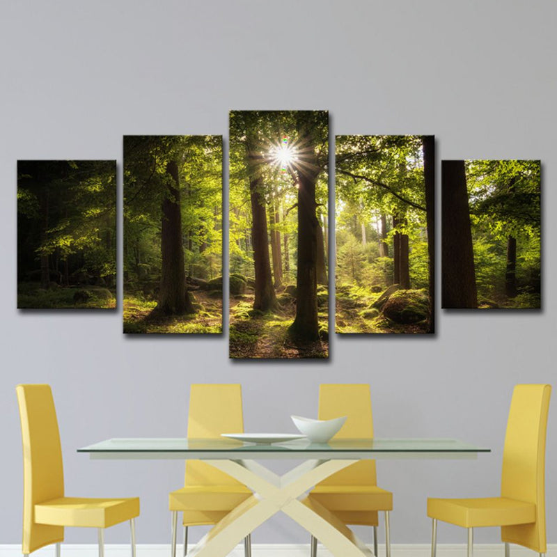 Sun Shines Through Forest Canvas Contemporary Multi-Piece Wall Art Print in Green Clearhalo 'Art Gallery' 'Canvas Art' 'Contemporary Art Gallery' 'Modern' Arts' 1614872