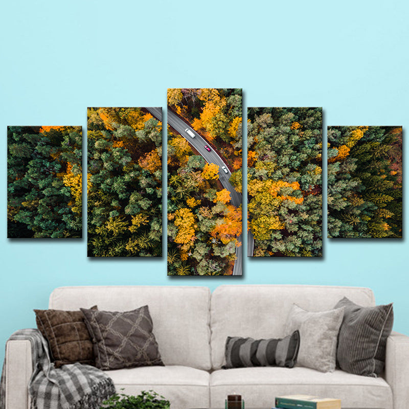 Aerial Photography Forest Road Canvas Wall Art for Sitting Room, Orange and Green Clearhalo 'Art Gallery' 'Canvas Art' 'Contemporary Art Gallery' 'Modern' Arts' 1615746