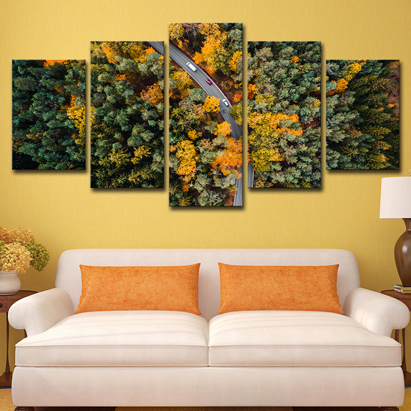 Aerial Photography Forest Road Canvas Wall Art for Sitting Room, Orange and Green Clearhalo 'Art Gallery' 'Canvas Art' 'Contemporary Art Gallery' 'Modern' Arts' 1615747