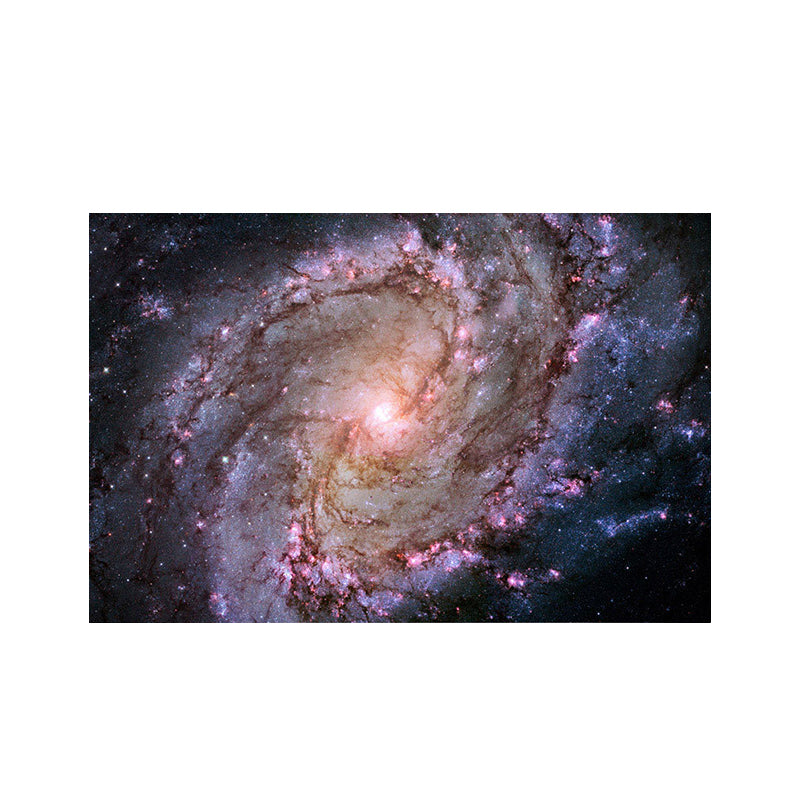 Stunning Milky Way Canvas Print for Sitting Room Universe Scenery Wall Art Decor Clearhalo 'Art Gallery' 'Canvas Art' 'Contemporary Art Gallery' 'Modern' Arts' 1616246