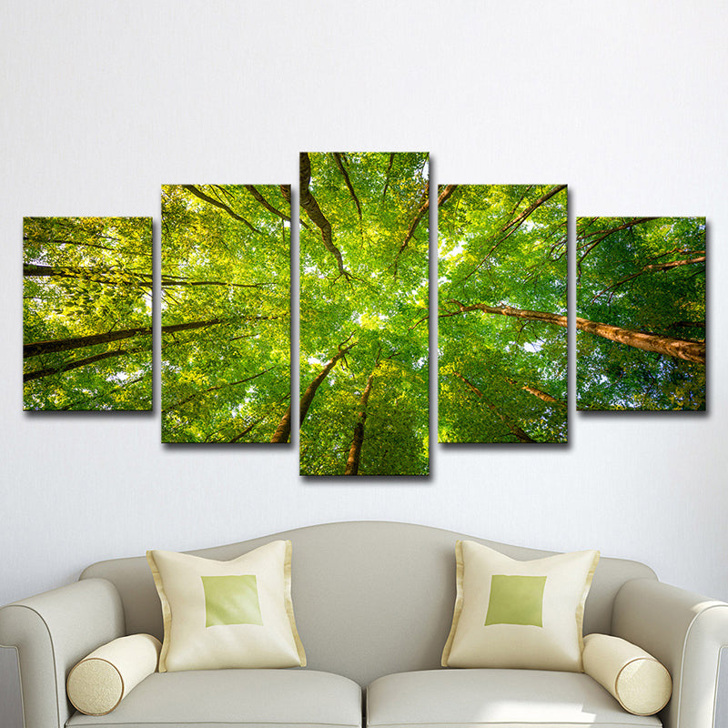 Modern Scenery Canvas Art Green Looking-Up into Forest Trees Wall Decor for Home Clearhalo 'Art Gallery' 'Canvas Art' 'Contemporary Art Gallery' 'Modern' Arts' 1616437