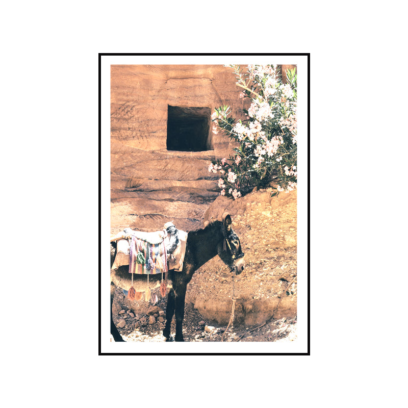 Plants Print Canvas Wall Art Farmhouse Textured Living Room Wall Decor in Pastel Color Clearhalo 'Art Gallery' 'Canvas Art' 'Country Art Gallery' 'French Country' 'Rustic' Arts' 1616709