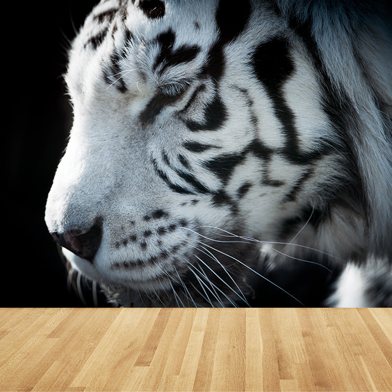 Contemporary Tame Asian Tiger Mural Wallpaper Black Nature Animals Wall Covering Black Clearhalo 'Wall Decor' 'Wall Mural' 1617193
