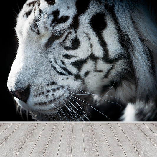 Contemporary Tame Asian Tiger Mural Wallpaper Black Nature Animals Wall Covering Clearhalo 'Wall Decor' 'Wall Mural' 1617195