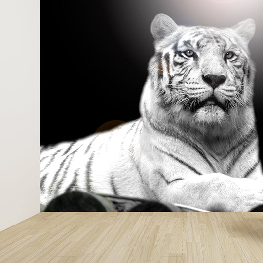 Peaceable Tiger Mural Wallpaper Black Contemporary Wall Covering for Living Room Clearhalo 'Wall Decor' 'Wall Mural' 1617400
