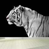 Field America Tiger Mural Wallpaper Contemporary Non-Woven Material Wall Covering Clearhalo 'Wall Decor' 'Wall Mural' 1618214