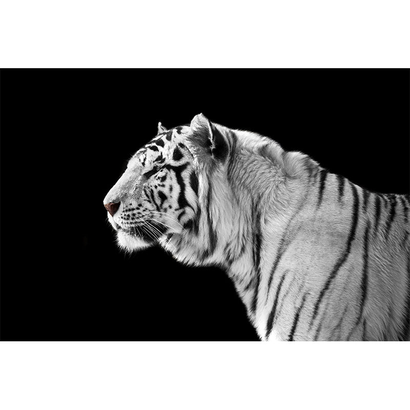 Field America Tiger Mural Wallpaper Contemporary Non-Woven Material Wall Covering Clearhalo 'Wall Decor' 'Wall Mural' 1618215