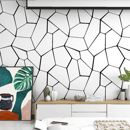 Crackle Look Wallpaper Roll Modern Compact Geometric Wall Art in White, 31' x 20.5" White 1 Set Clearhalo 'Modern wall decor' 'Modern' 'Wallpaper' Wall Decor' 1618810