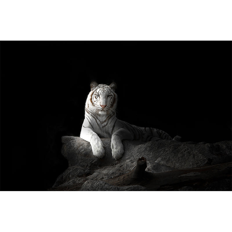 Modern Peaceable Tiger Mural Decal Black Waterproofing Wall Covering for Bathroom Clearhalo 'Wall Decor' 'Wall Mural' 1618969