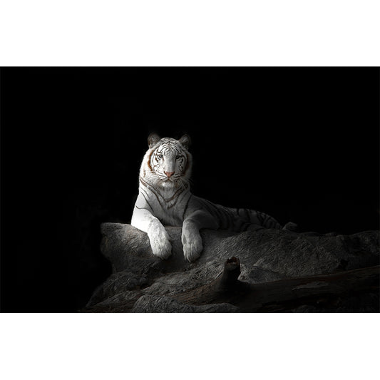 Modern Peaceable Tiger Mural Decal Black Waterproofing Wall Covering for Bathroom Clearhalo 'Wall Decor' 'Wall Mural' 1618969