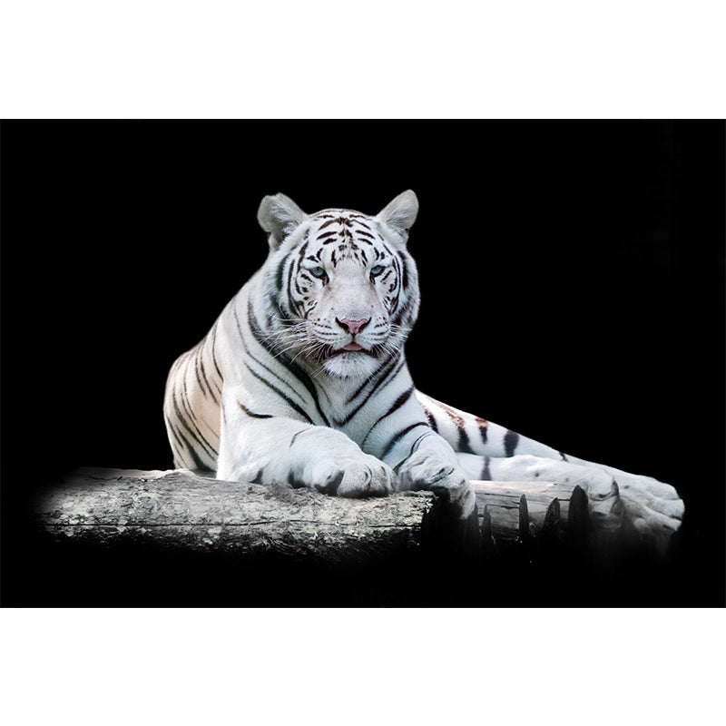 Modern Recumbent Tiger Mural Decal Black Dining Room Wall Decor, Custom Size Available Clearhalo 'Wall Decor' 'Wall Mural' 1618974