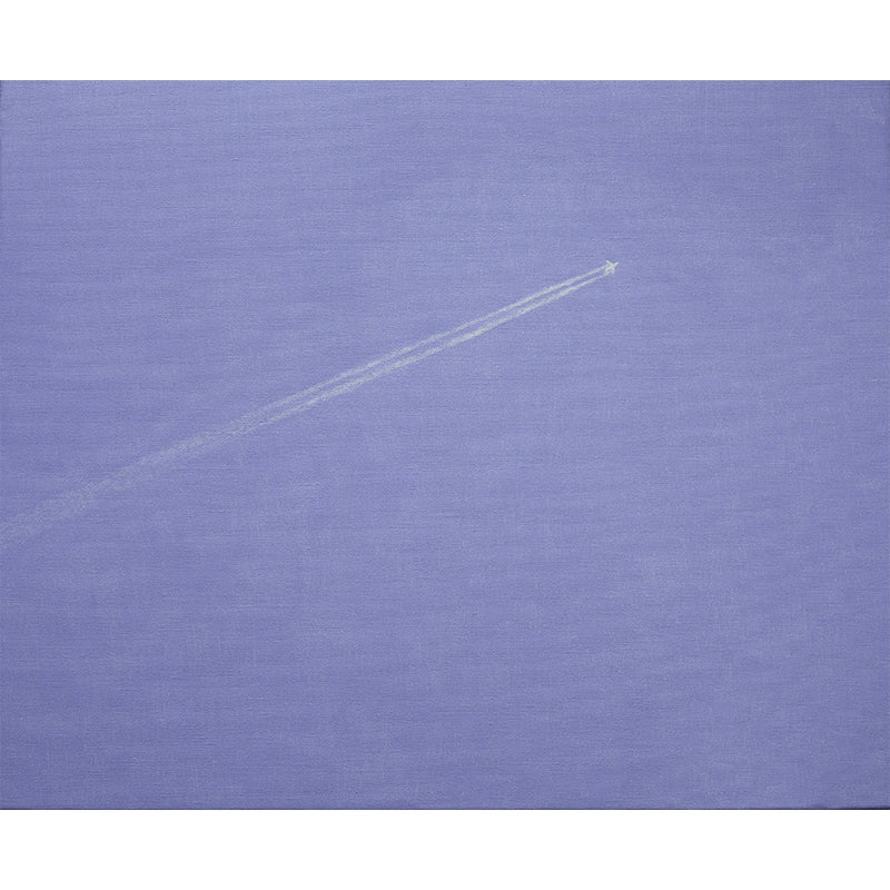 Purple Aeroplane Mural Wallpaper Nature Modern Art Stain-Proof Wall Covering for Kitchen Clearhalo 'Wall Decor' 'Wall Mural' 1619044