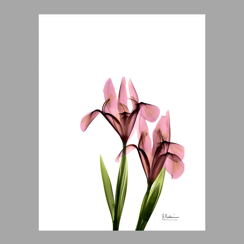 Flowers Painting Canvas Wall Art Farmhouse Textured Wall Decor for Girls Bedroom Clearhalo 'Art Gallery' 'Canvas Art' 'Country Art Gallery' 'French Country' 'Rustic' Arts' 1625901