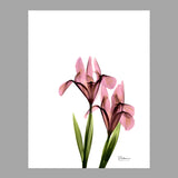 Flowers Painting Canvas Wall Art Farmhouse Textured Wall Decor for Girls Bedroom Clearhalo 'Art Gallery' 'Canvas Art' 'Country Art Gallery' 'French Country' 'Rustic' Arts' 1625901