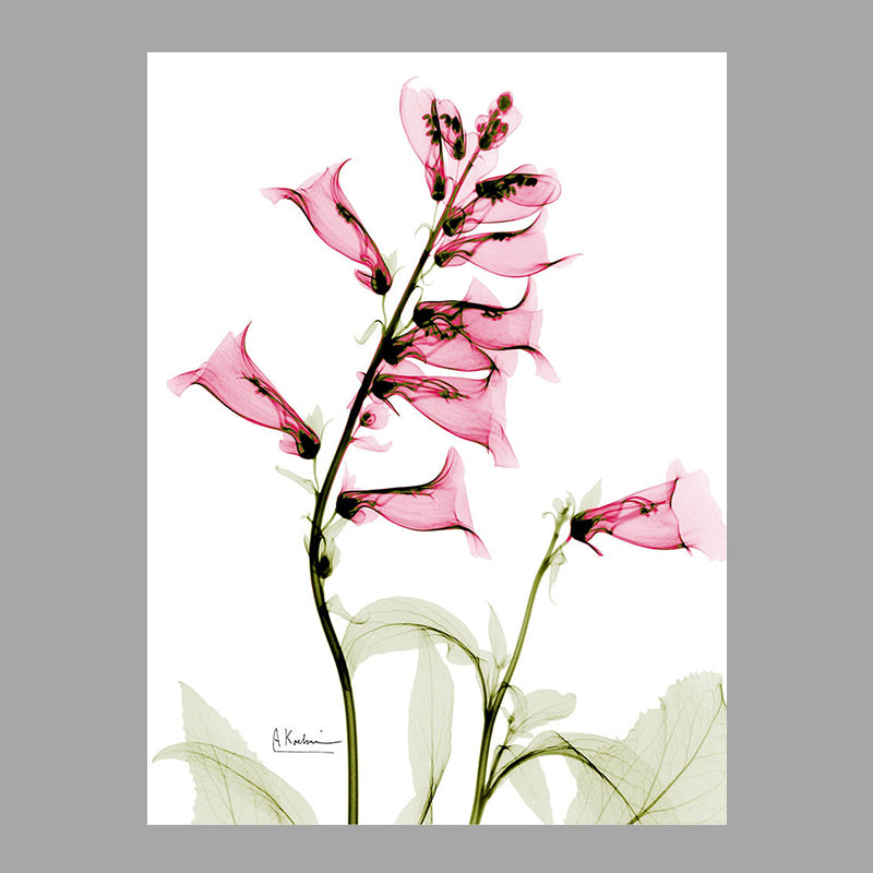 Flowers Painting Canvas Wall Art Farmhouse Textured Wall Decor for Girls Bedroom Clearhalo 'Art Gallery' 'Canvas Art' 'Country Art Gallery' 'French Country' 'Rustic' Arts' 1625908