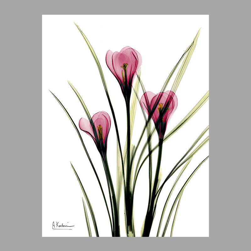 Flowers Painting Canvas Wall Art Farmhouse Textured Wall Decor for Girls Bedroom Clearhalo 'Art Gallery' 'Canvas Art' 'Country Art Gallery' 'French Country' 'Rustic' Arts' 1625915