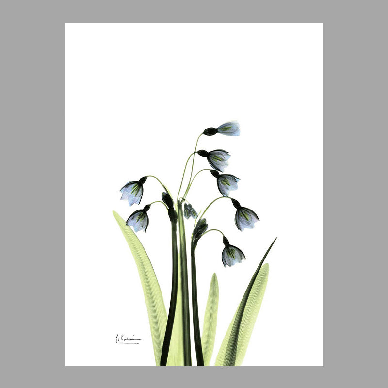 Flowers Painting Canvas Wall Art Farmhouse Textured Wall Decor for Girls Bedroom Clearhalo 'Art Gallery' 'Canvas Art' 'Country Art Gallery' 'French Country' 'Rustic' Arts' 1625929