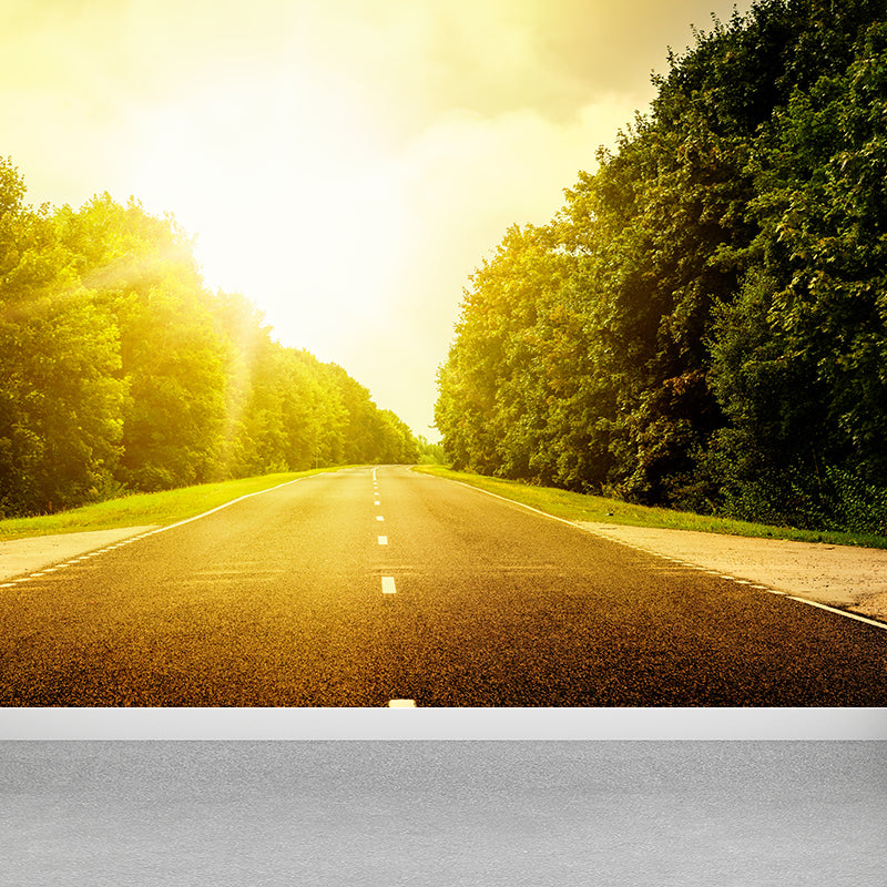 Highway Scene Mural Wallpaper Modern Non-Woven Cloth Wall Covering in Soft Color Clearhalo 'Wall Decor' 'Wall Mural' 1626985