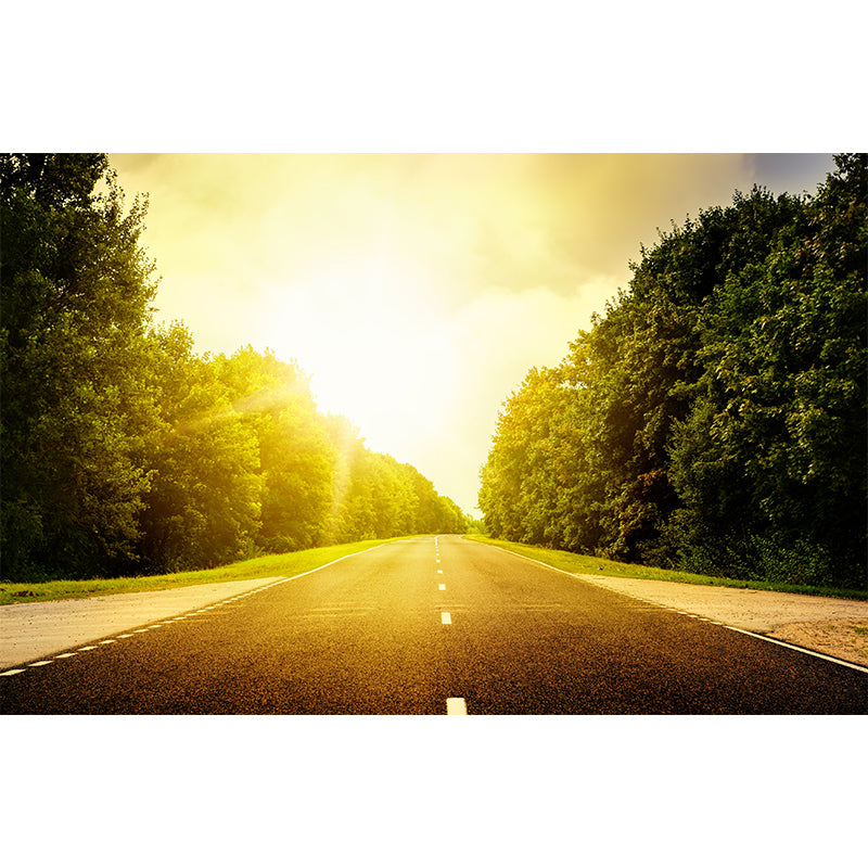 Highway Scene Mural Wallpaper Modern Non-Woven Cloth Wall Covering in Soft Color Clearhalo 'Wall Decor' 'Wall Mural' 1626986