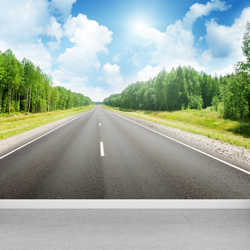 Highway Scene Mural Wallpaper Modern Non-Woven Cloth Wall Covering in Soft Color Clearhalo 'Wall Decor' 'Wall Mural' 1626989