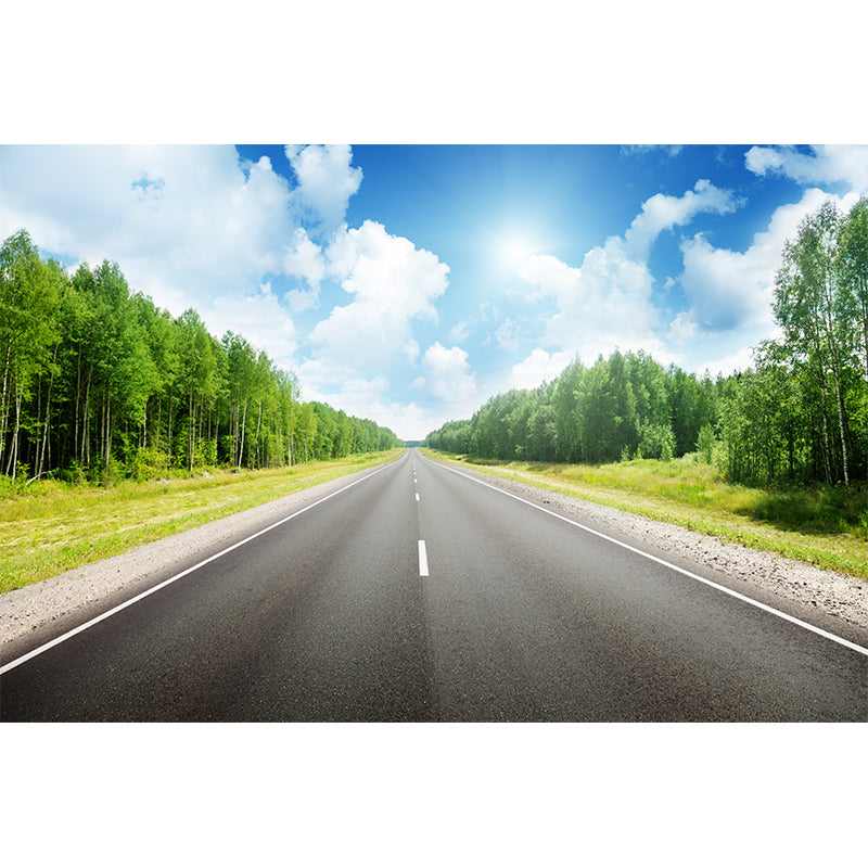 Highway Scene Mural Wallpaper Modern Non-Woven Cloth Wall Covering in Soft Color Clearhalo 'Wall Decor' 'Wall Mural' 1626991