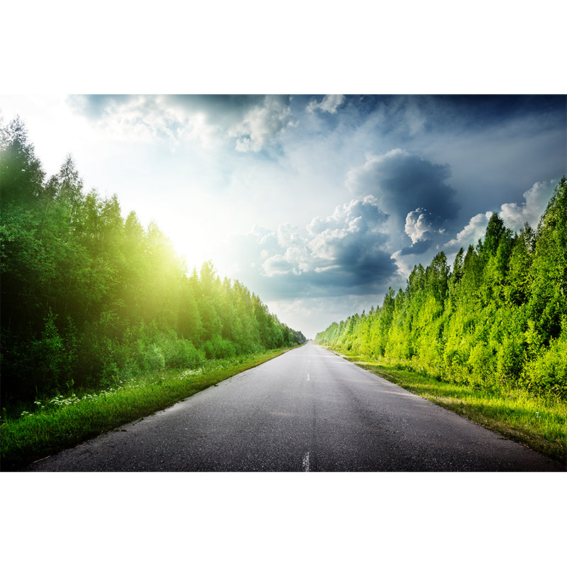 Road and Botanical Wall Mural Modern Decorative Living Room Wall Covering, Personalise Clearhalo 'Wall Decor' 'Wall Mural' 1626996