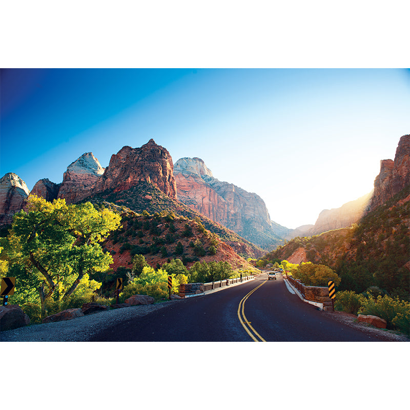 Road and Botanical Wall Mural Modern Decorative Living Room Wall Covering, Personalise Clearhalo 'Wall Decor' 'Wall Mural' 1627001