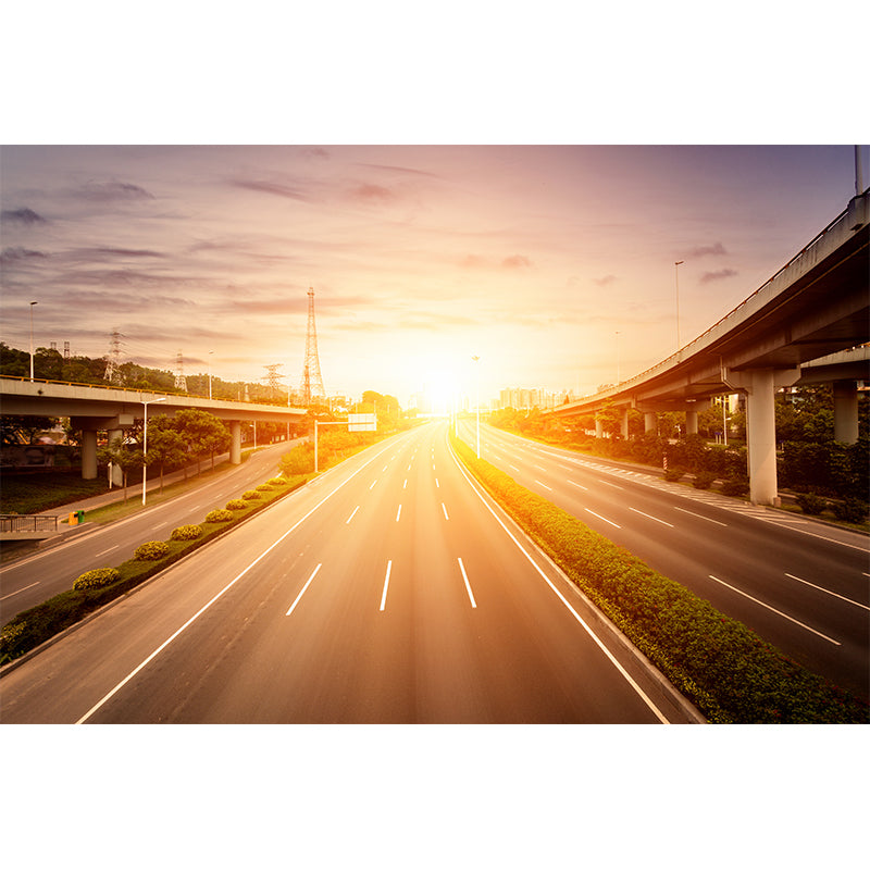 Photography Highway Wall Mural for Living Room, Light Color, Custom Size Available Clearhalo 'Wall Decor' 'Wall Mural' 1627081