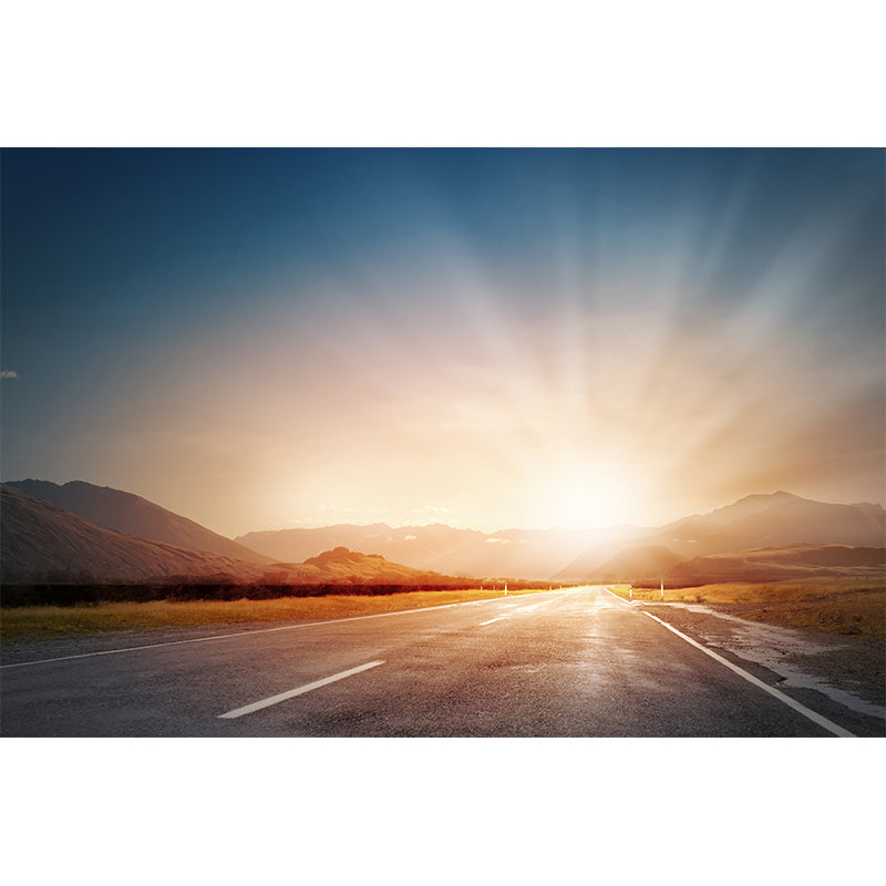 Photography Highway Wall Mural for Living Room, Light Color, Custom Size Available Clearhalo 'Wall Decor' 'Wall Mural' 1627096