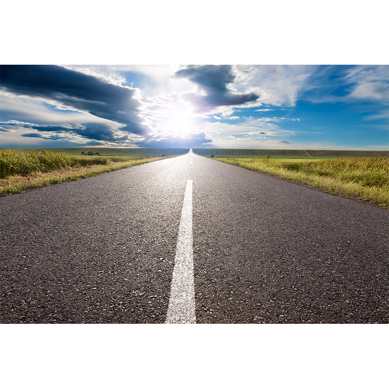 Contemporary Road Mural Decal Light Color Waterproofing Wall Covering for Living Room Clearhalo 'Wall Decor' 'Wall Mural' 1627216