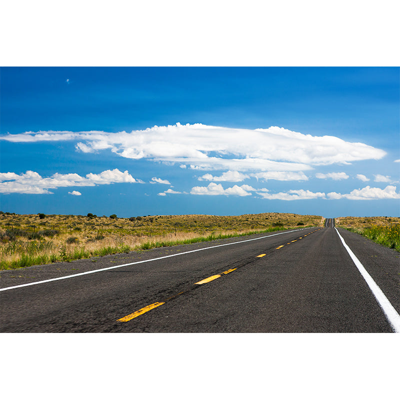 Stain-Proof Highway Wall Mural Non-Woven Texture Modern Wall Decor for Girls Room Clearhalo 'Wall Decor' 'Wall Mural' 1627341