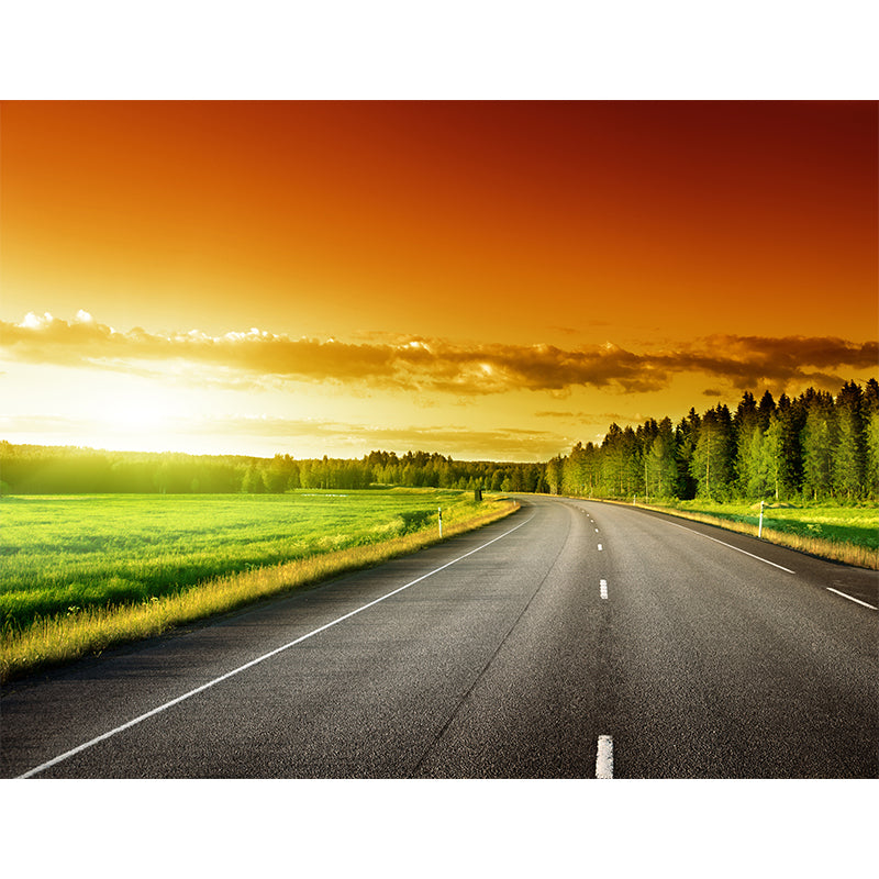 Stain-Proof Highway Wall Mural Non-Woven Texture Modern Wall Decor for Girls Room Clearhalo 'Wall Decor' 'Wall Mural' 1627351