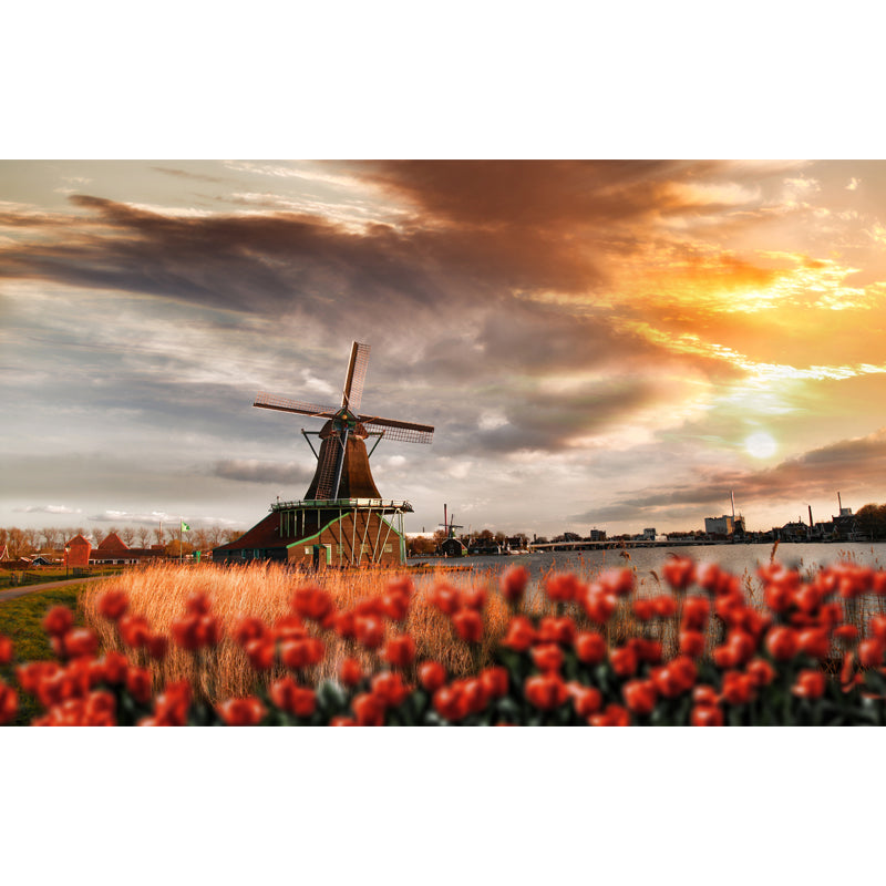 Romantic Windmill View Mural Decal for Living Room, Soft Color, Custom Size Available Clearhalo 'Wall Decor' 'Wall Mural' 1627416