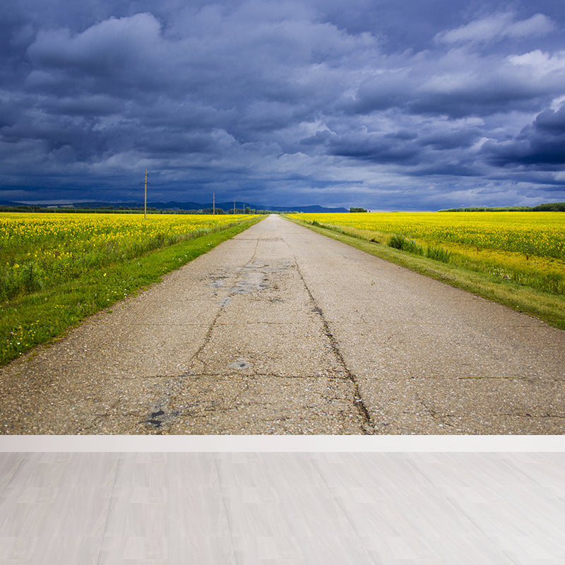 Full Size Photography Modern Mural Wallpaper with Highway and Grassland in Light Color Clearhalo 'Wall Decor' 'Wall Mural' 1627684