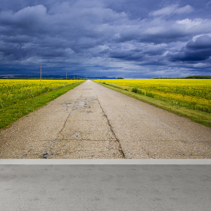 Full Size Photography Modern Mural Wallpaper with Highway and Grassland in Light Color Clearhalo 'Wall Decor' 'Wall Mural' 1627685