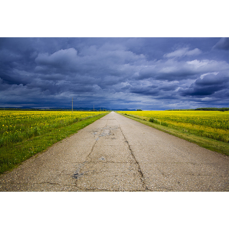 Full Size Photography Modern Mural Wallpaper with Highway and Grassland in Light Color Clearhalo 'Wall Decor' 'Wall Mural' 1627686