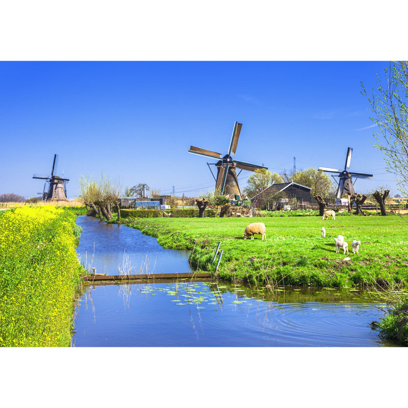 Full Size Photography Modern Mural Wallpaper with Windmill Landscape in Soft Color Clearhalo 'Wall Decor' 'Wall Mural' 1627746