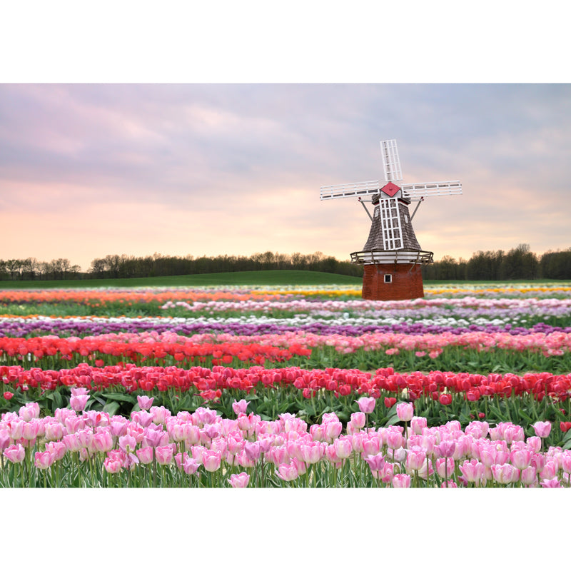 Full Size Photography Modern Mural Wallpaper with Windmill Landscape in Soft Color Clearhalo 'Wall Decor' 'Wall Mural' 1627756