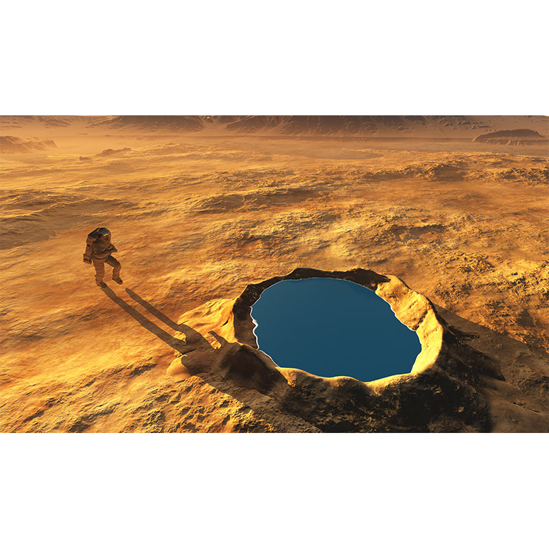 Mysterious Space Scene Mural Decal for Living Room, Orange, Custom Size Available Clearhalo 'Wall Decor' 'Wall Mural' 1627791