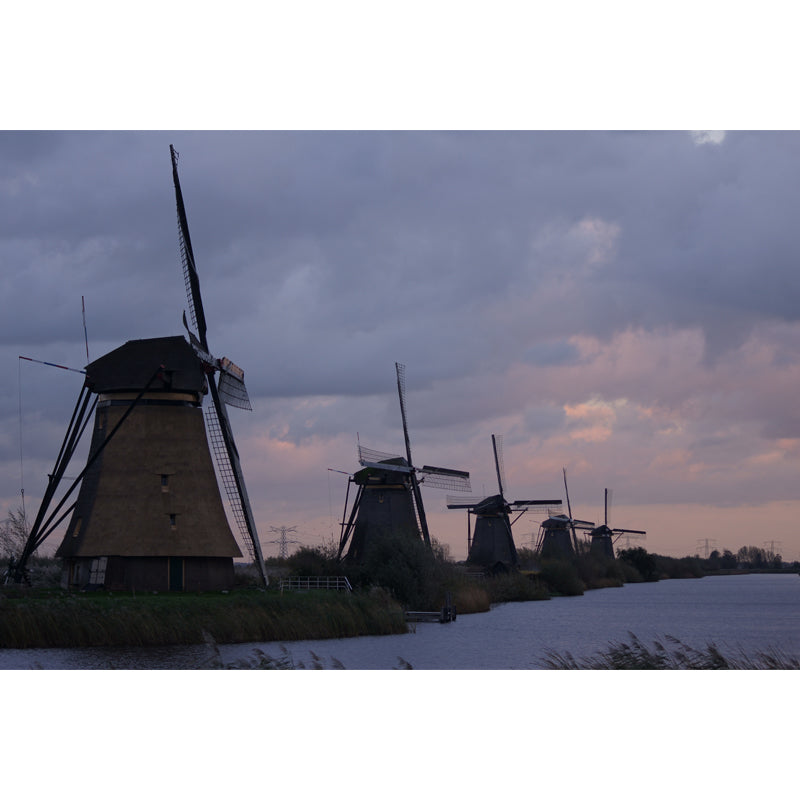 Rotating Windmill Mural Wallpaper for Dining Room Summer Wall Decor, Custom Printed Clearhalo 'Wall Decor' 'Wall Mural' 1627861