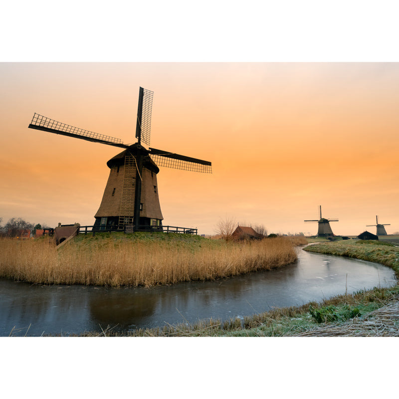 Rotating Windmill Mural Wallpaper for Dining Room Summer Wall Decor, Custom Printed Clearhalo 'Wall Decor' 'Wall Mural' 1627871