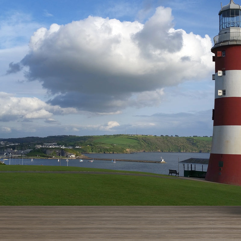 Photography Style Beacon Mural for Living Room, Light Color, Custom Size Available Clearhalo 'Wall Decor' 'Wall Mural' 1637574