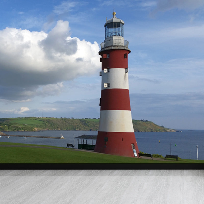 Photography Style Beacon Mural for Living Room, Light Color, Custom Size Available Clearhalo 'Wall Decor' 'Wall Mural' 1637575