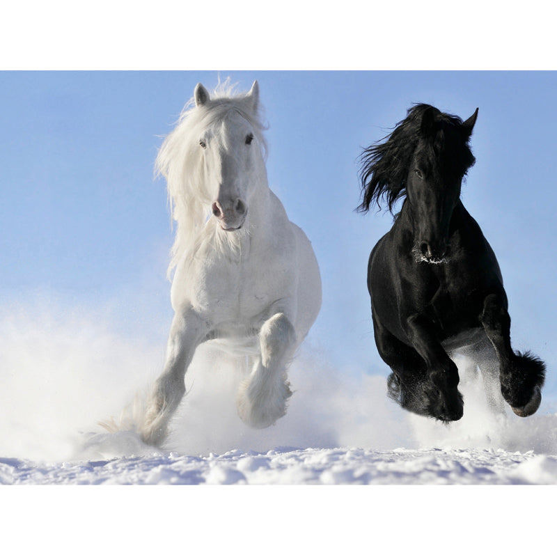 Horses Print Mural Decal Contemporary Non-Woven Texture Wall Art in Pastel Color Clearhalo 'Wall Decor' 'Wall Mural' 1637696