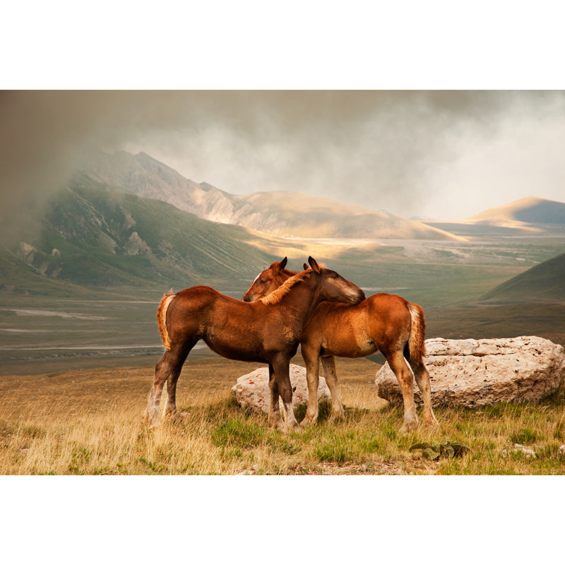 Horses Print Mural Decal Contemporary Non-Woven Texture Wall Art in Pastel Color Clearhalo 'Wall Decor' 'Wall Mural' 1637711