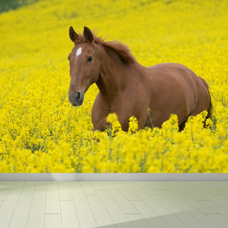 Horse Mural Decal Modern Decorative Boys Room Wall Covering, Custom Size Available Yellow Clearhalo 'Wall Decor' 'Wall Mural' 1637713